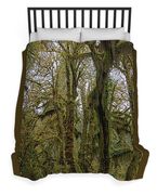 Moss-Covered Trees in a Dense Forest Duvet Cover