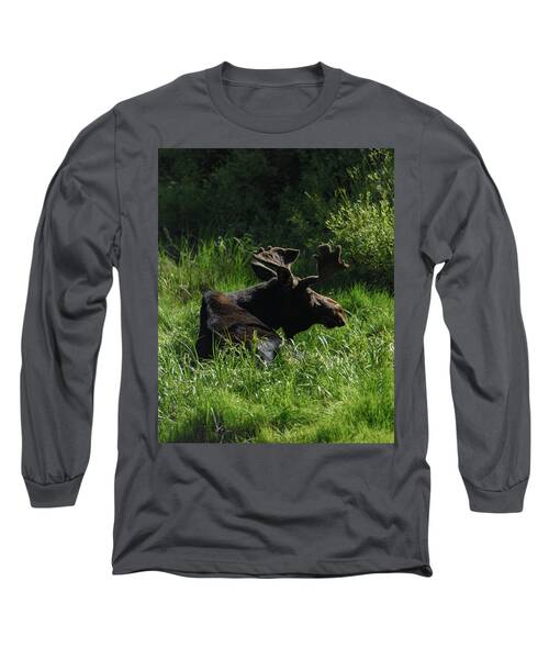Moose Resting In Sunlit Meadow In Grand Teton National Park Long Sleeve T-Shirt