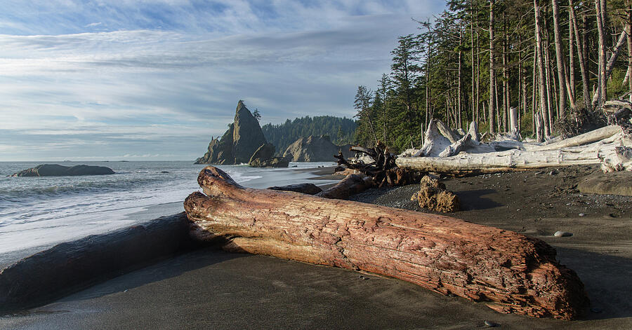 Driftwood on a Pebbled Beach Photograph - Driftwood on a Pebbled Beach by Brandon Wichmann
