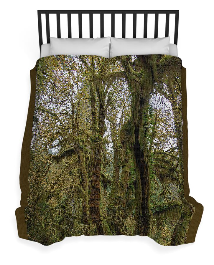 Moss-Covered Trees in a Dense Forest Duvet Cover