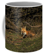 Fox Resting In Sunlit Clearing Coffee Mug