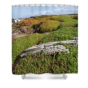 Coastal Landscape with Driftwood Shower Curtain