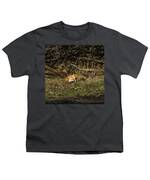 Peaceful Fox In Sunlit Meadow Youth T-Shirt