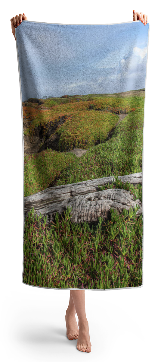 Coastal Landscape with Driftwood Beach Towel