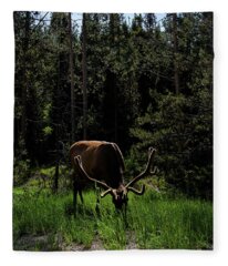 Wildlife Fleece Blankets