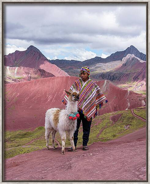 Peruvian Scene With Red Valley And Llama Framed Print