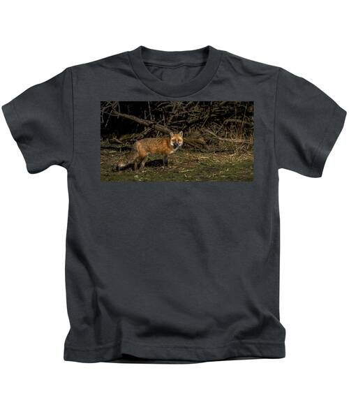 Fox In Sunlit Forest Clearing Kids T-Shirt