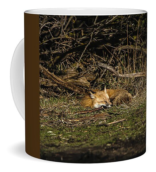 Peaceful Fox In Sunlit Meadow Coffee Mug