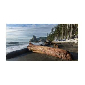 Driftwood on a Pebbled Beach by Brandon Wichmann
