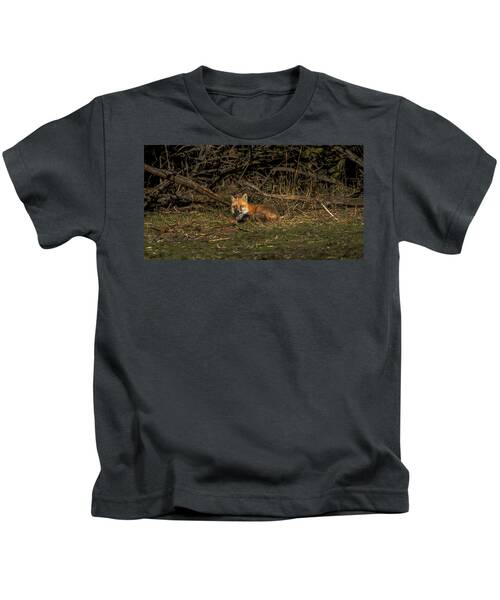 Fox Resting In Sunlit Clearing Kids T-Shirt