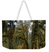 Moss-Covered Forest Trees Weekender Tote Bag