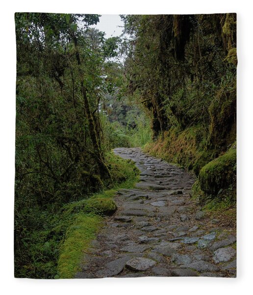 Moss-covered Path Through Lush Forest On The Inca Trail Fleece Blanket
