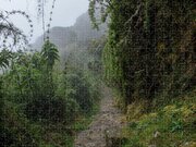 Misty Forest Pathway On The Inca Trail Jigsaw Puzzle
