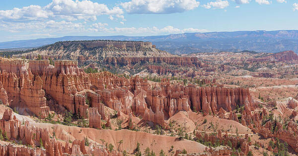 Majestic Hoodoos Of Bryce Canyon Art Print